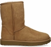 UGG Classic Short II Bruin Dames Enkelboots