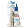 CBD olie 2% voor katten van Cibapet (10ml)