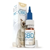 CBD olie 4% voor katten van Cibapet (10ml)