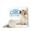 CBD pastilles voor honden (3, 2mg)
