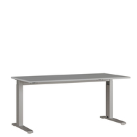 Bureau Ergonoma Lichtgrijs 160 CM