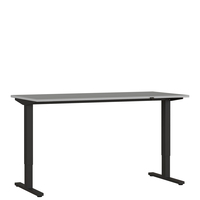 Elektrisch Bureau Ergonoma Lichtgrijs Zwart 180 CM