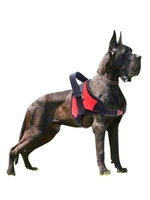 Adjustable Outdoor Walking Larger Dog Harness