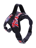 Adjustable Outdoor Walking Larger Dog Harness