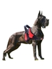 Adjustable Outdoor Walking Larger Dog Harness