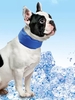 Adjustable Pet Cooling Collar