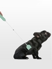 Adjustable Pet Training Stick