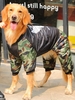 Angel Wings Camo Pattern Pet Padded Jacket