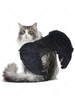 Angel Wings Shape Pet Harness