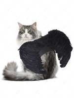 Angel Wings Shape Pet Harness