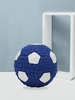Anti Bite Interactive Dog Chew Ball Toy