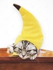 Banana Shape Hook and Loop Pet Hat
