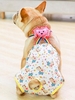 Bear Decor Cartoon Print Pet Sanitary Pants