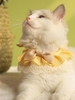 Bowknot Checked Embroidery Pet Cat Collar