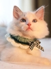 Bowknot Colorblock Crochet Cat Collar