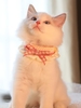 Bowknot Colorblock Crochet Cat Collar