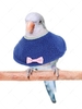 Bowknot Design Parrot Fleece Cape Necktie