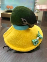 Bowknot Design Parrot Fleece Cape Necktie