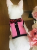 Bowknot Mesh Pet Harness & Leash Set