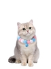 Candy Color Bell Pendant Pet Cat Dog Fuzzy Ball Collar