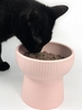 Candy Color Pet Cat Bowl