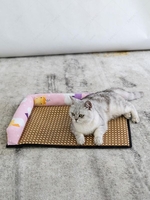Cartoon Dinosaur Pattern Pet Cooling Mat