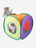 Cat Square Colorful Tunnel