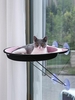 Cat Window Perch Pet Bed Cat