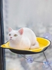Cat Window Perch Pet Bed Cat