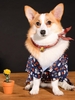 Chinese Characters Pattern Pet Kimono