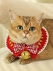 Christmas Bell Crochet Pet Collar