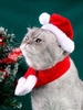 Christmas Coral Fleece Pet Hat and Scarf Set