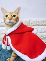 Christmas Costume Hooded Pet Cape