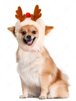 Christmas Fluffy Pompoms Elk Pet Hat