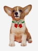 Christmas Pet Bow Tie with Bell