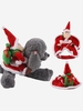 Christmas Santa Claus Design Cosplay Pet Costume