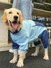 Colorblock Back Zip Design Four-legged Pet Sweatshirt