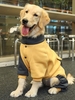 Colorblock Back Zip Design Four-legged Pet Sweatshirt