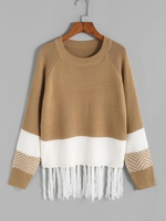 Colorblock Zig Zag Tassel Raglan Sleeve Jumper Sweater L Coffee