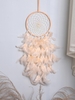 Colored Feather Hanging Dreamcatcher
