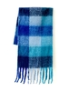 Colored Plaid Fringed Scarf