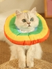 Cute Cartoon Pet Protection Collar