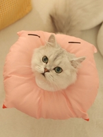Cute Cartoon Pet Protection Collar