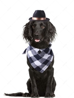 Cute Solid Color Pet Bowler Hat