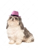 Cute Solid Color Pet Bowler Hat