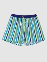 Drawstring Pockets Vertical Striped Beach Shorts Xl Green snake