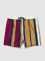 Drawstring Striped Pocket Beach Shorts Xxl Chestnut