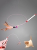 Feather Detail Cat Teaser Stick