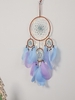 Feathers Fringe Wall Decoration Dreamcatcher