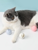 Fishbone Pattern 3PCS Pet Chasing Toy Balls Set